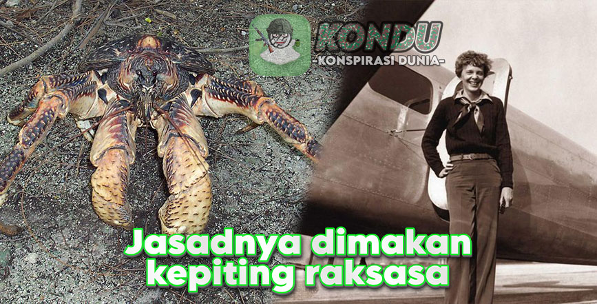 Misteri Pilot Wanita yang Hilang di Makan Kepiting