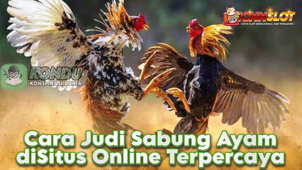 Cara Judi Sabung Ayam diSitus Online Terpercaya Indonesia