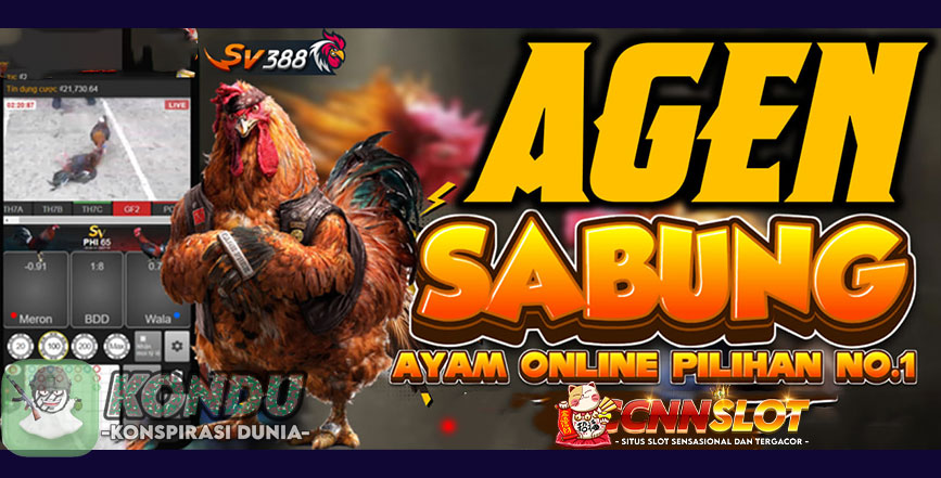 Cara Judi Sabung Ayam diSitus Online Terpercaya Indonesia 