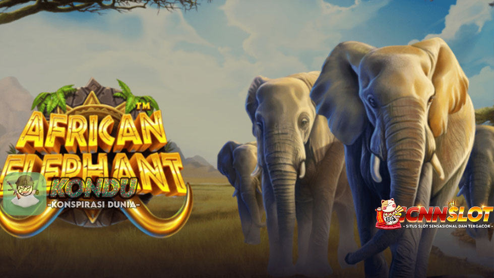 Misteri African Elephant: Menangkan Jackpot di Slot Seru Ini!