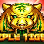 Petualangan Liar Slot Triple Tigers: Temukan Harta Karun